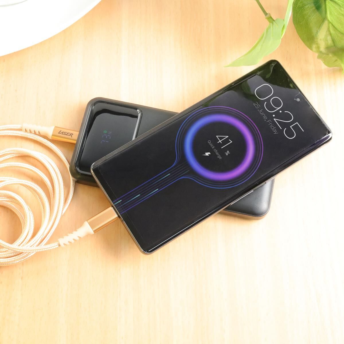 LASER USB-C TO USB-C CABLE 60W: GOLD/PINK 2 PACK 2M | FAST CHARGE & DURABLE, , scaau_hi-res