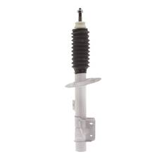 STRUT FRONT RH SIDE COMMODORE VE WM SEDAN UTE & WAGON V6 V8, , scaau_hi-res
