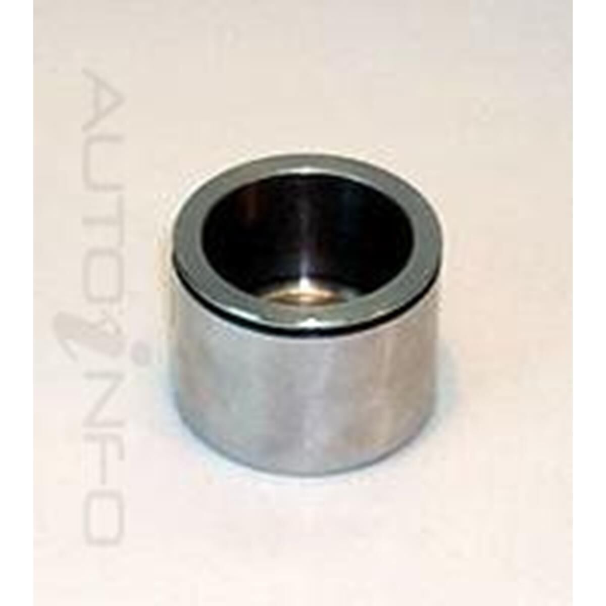 CALIPER PISTON, , scaau_hi-res