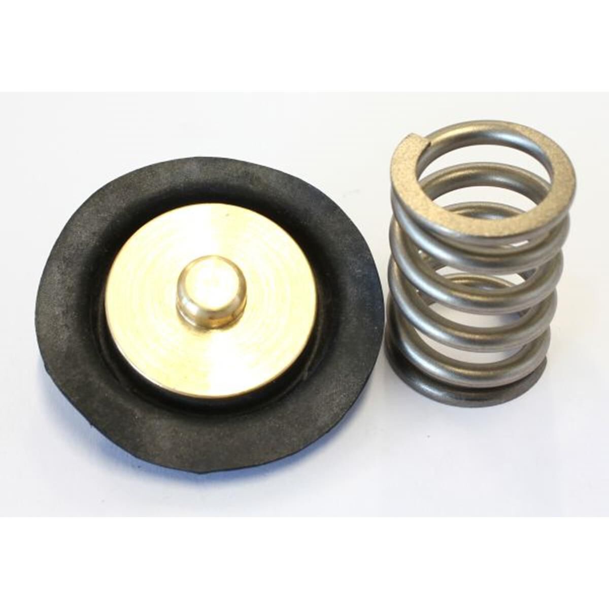 AF66-2055 REPLACEMENT DIAPHRAG, , scaau_hi-res