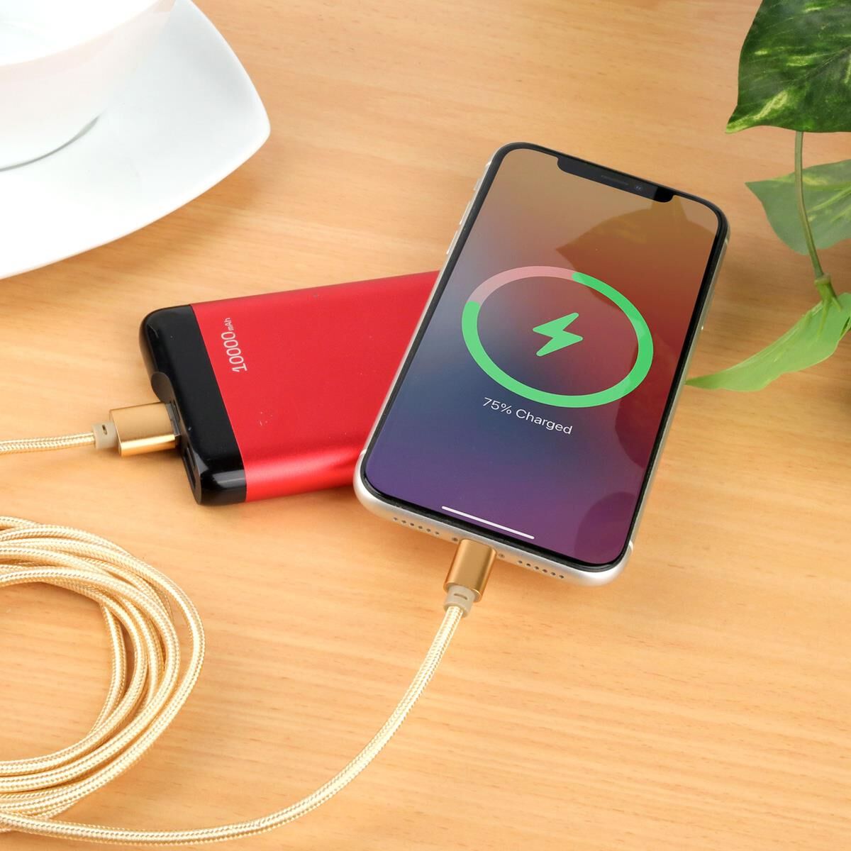 LASER MFI LIGHTNING TO USB-A CABLE 2 PACK &ndash; 2M, NYLON BRAID, GOLD/PINK, FAST CHARGE, , scaau_hi-res