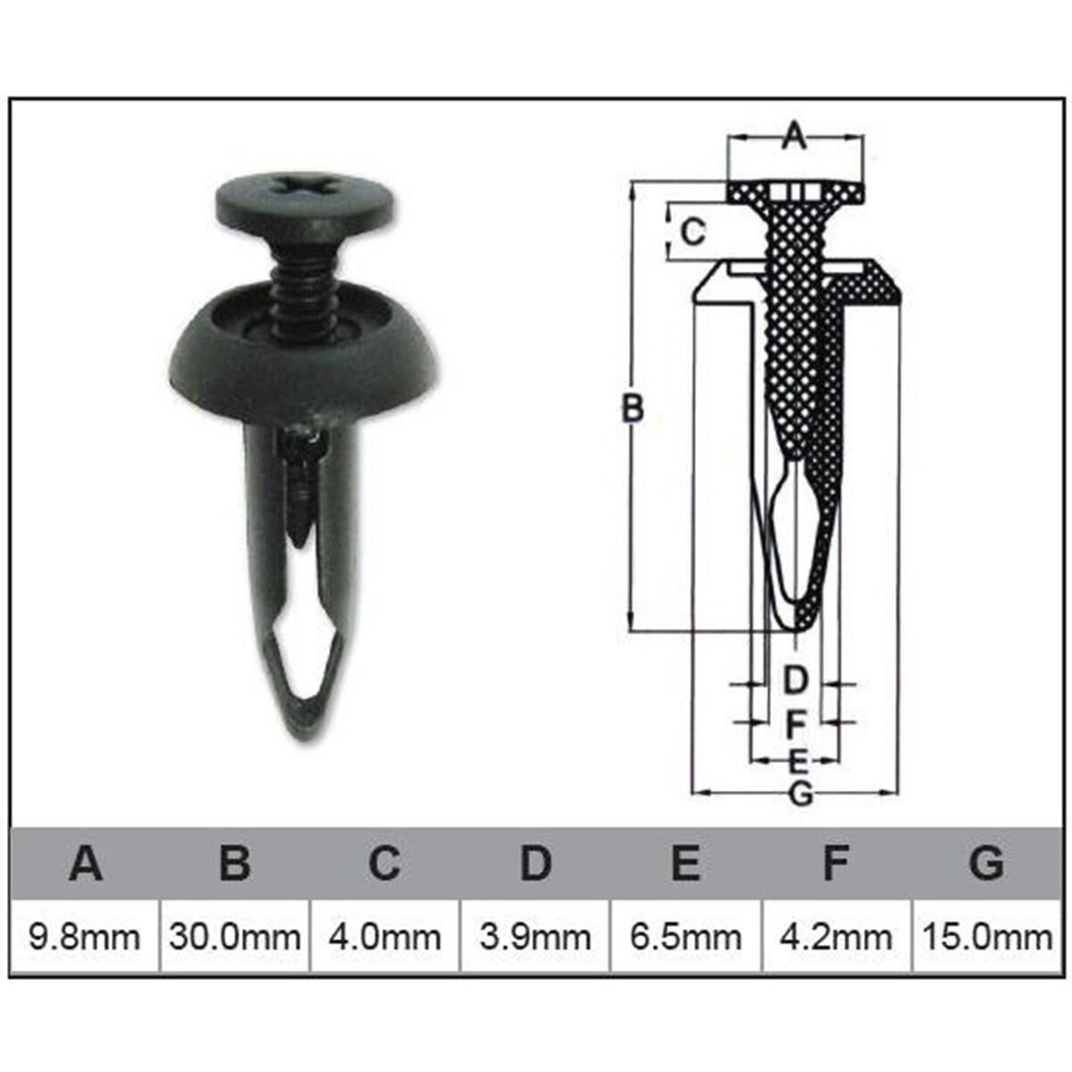 PKT 100 AUTOMOTIVE FASTENER, , scaau_hi-res