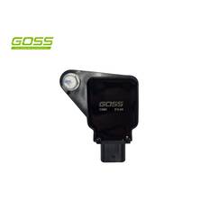 IGNITION COIL HOLDEN, , scaau_hi-res