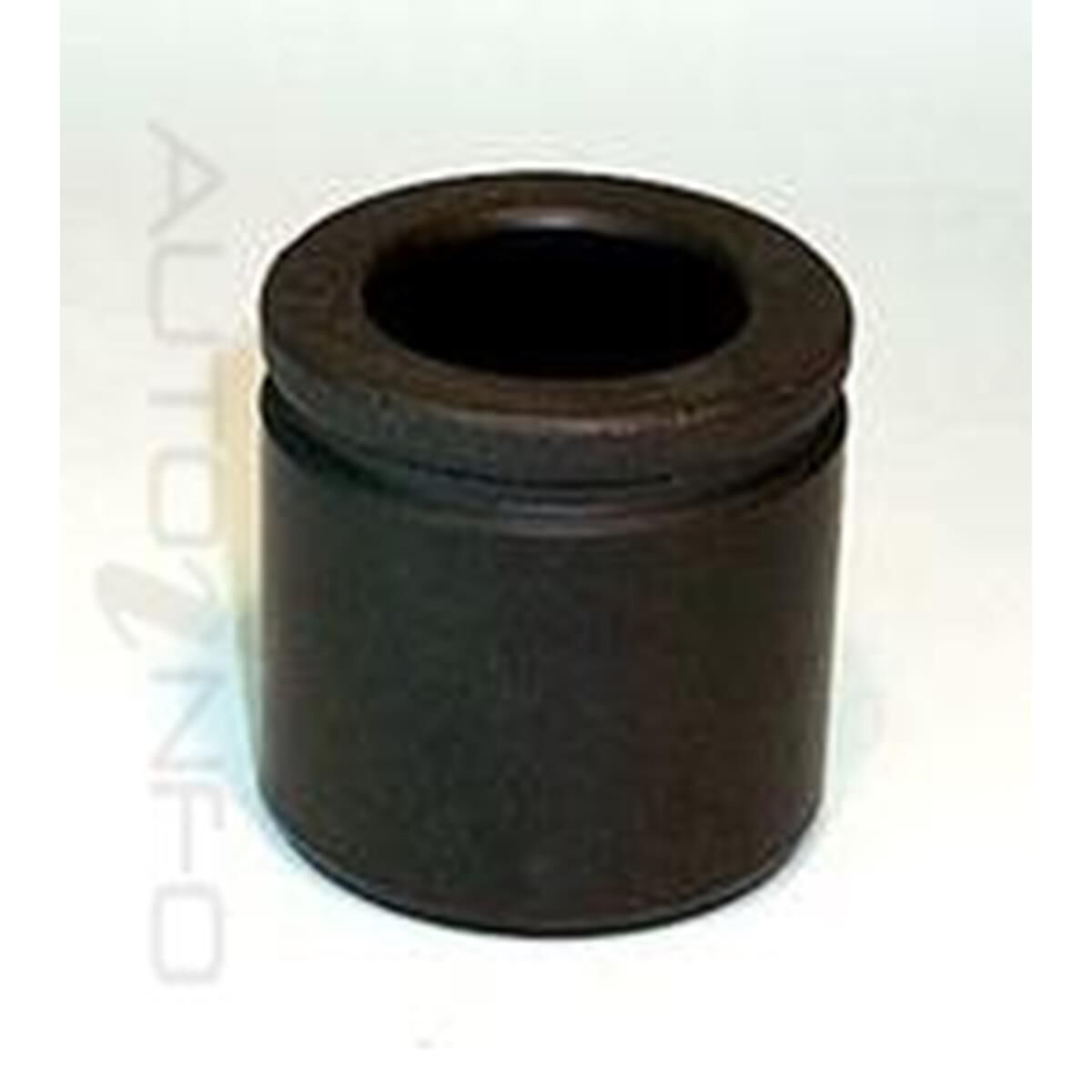 PTX PISTON, , scaau_hi-res