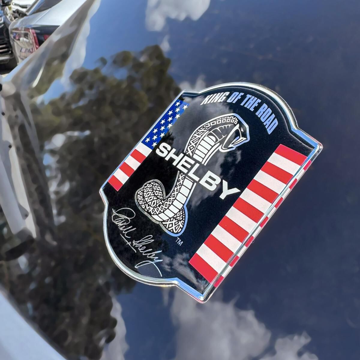 SHELBY COBRA SNAKE LOGO CAR DECAL, , scaau_hi-res