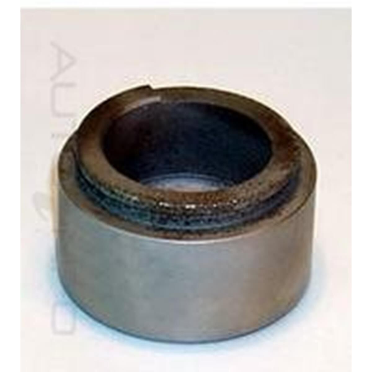 CALIPER PISTON, , scaau_hi-res