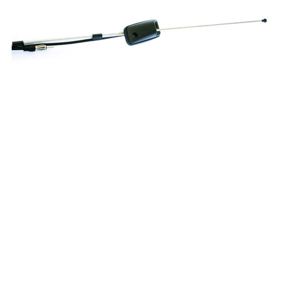 CAR ANTENNA TO SUIT HOLDEN, , scaau_hi-res