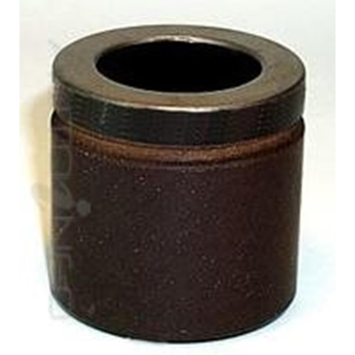 CALIPER PISTON, , scaau_hi-res