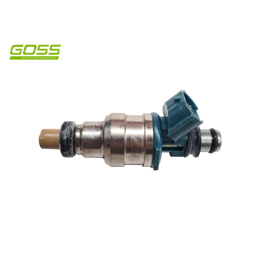 Goss Fuel Injector PIN202 Supercheap Auto