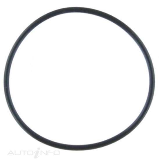 WO HOLDEN V8 LS1, , scaau_hi-res