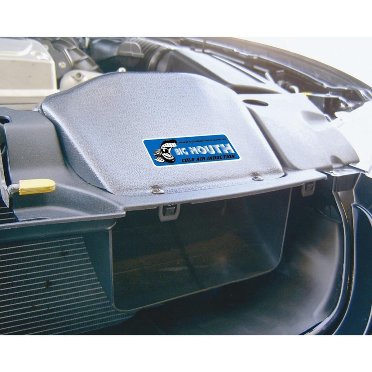 GROWLER & BIG MOUTH FORD FG XR8 (CAI034 & CAI033), , scaau_hi-res