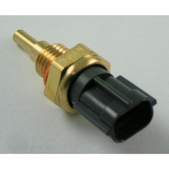RAE Coolant Temperature Sensor CS846 Supercheap Auto