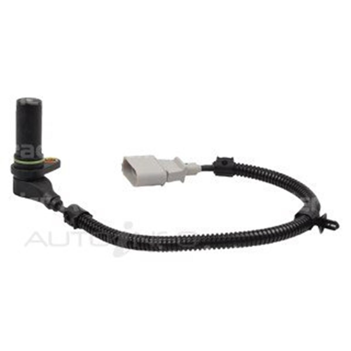 CRANK ANGLE SENSOR, , scaau_hi-res