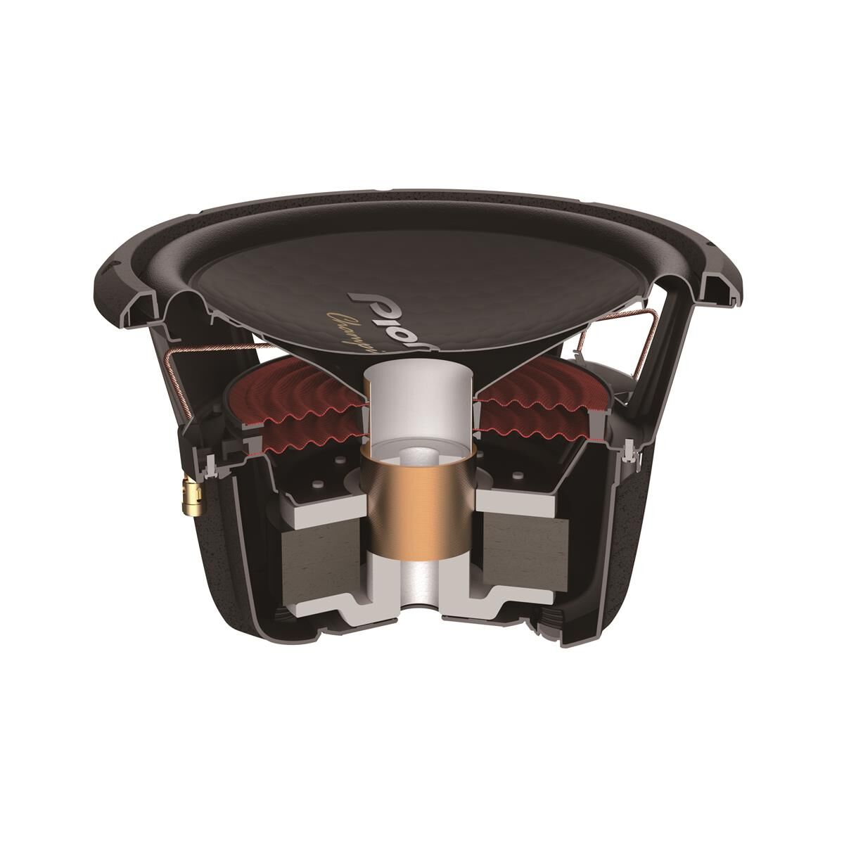 CHAMPION-PRO 12" SUBWOOFER, , scaau_hi-res