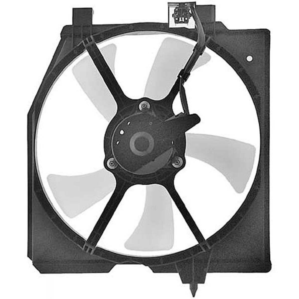 FAN 323 / ASTINA / PROTEGE 98-, , scaau_hi-res