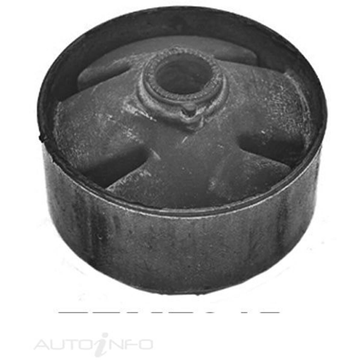 Insert -  For Tem570, Tem572, , scaau_hi-res