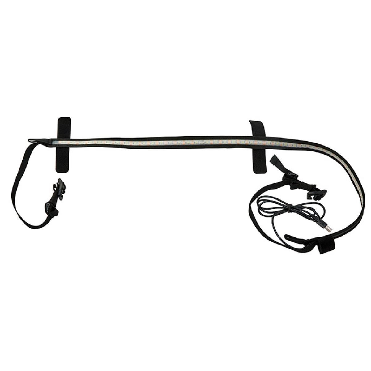 SUNBELT, , scaau_hi-res