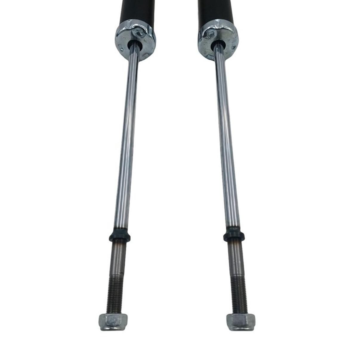 Shock/Strut - Rear, , scaau_hi-res