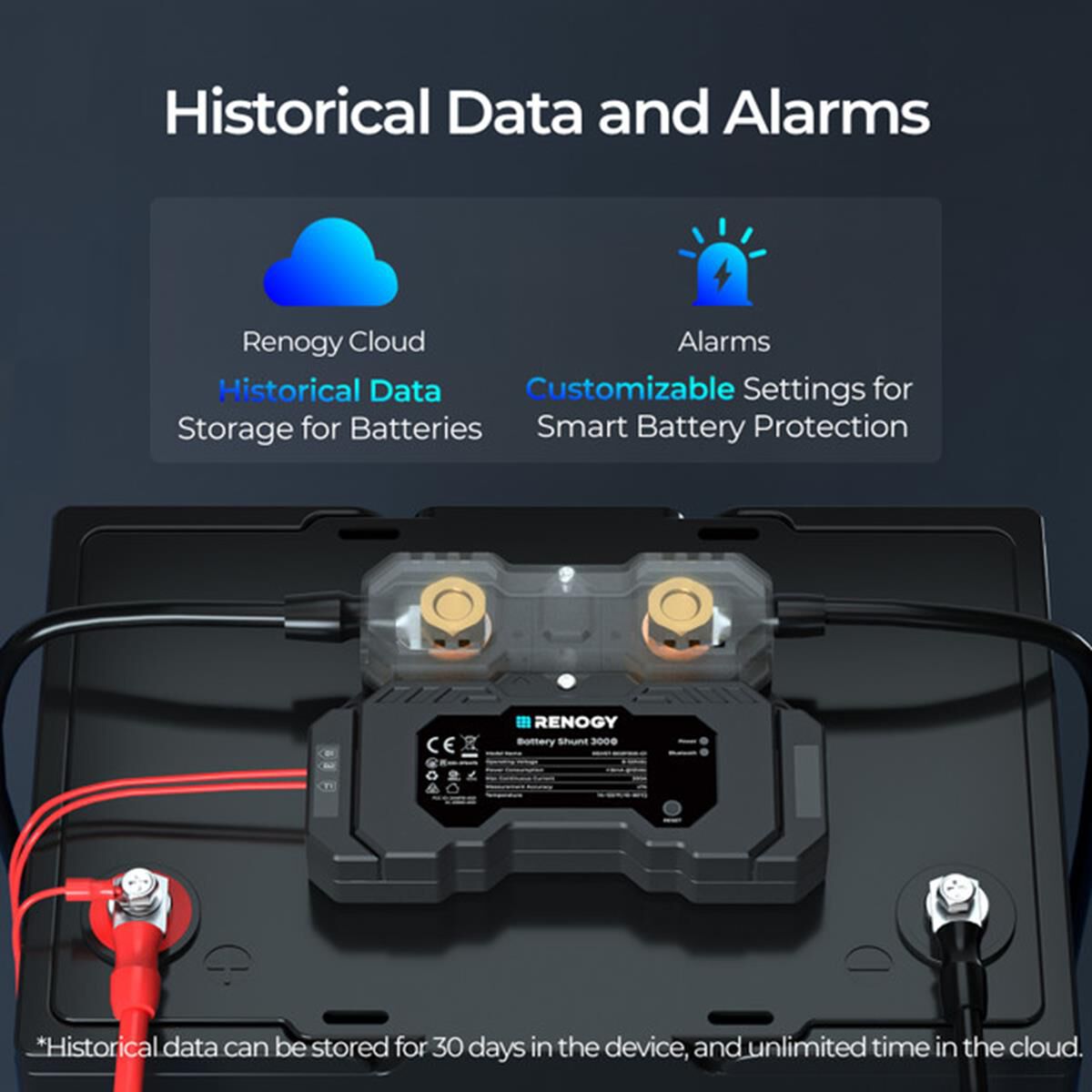 RENOGY BATTERY SHUNT 300, , scaau_hi-res
