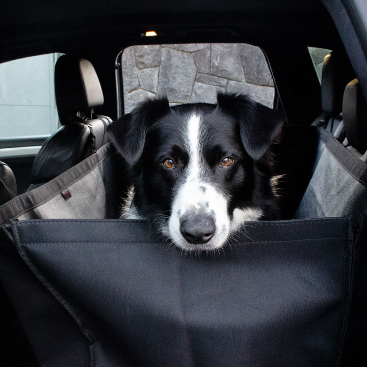 UNIVERSAL HEAVY DUTY PET SEAT COVERS, , scaau_hi-res