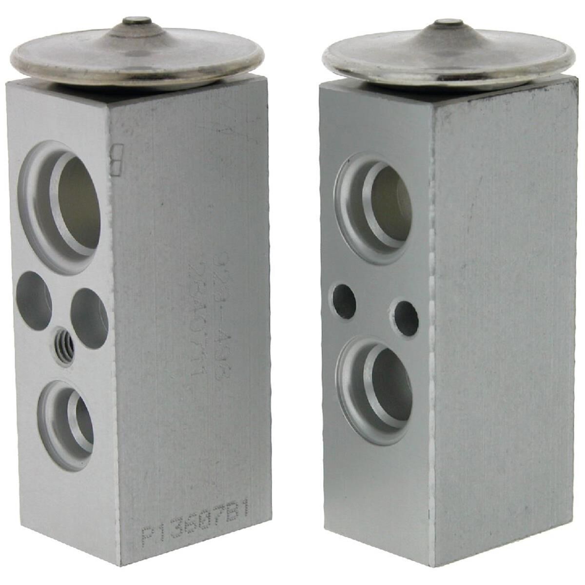 TXV PINTARA  SKYLINE BLUEBIRD, , scaau_hi-res