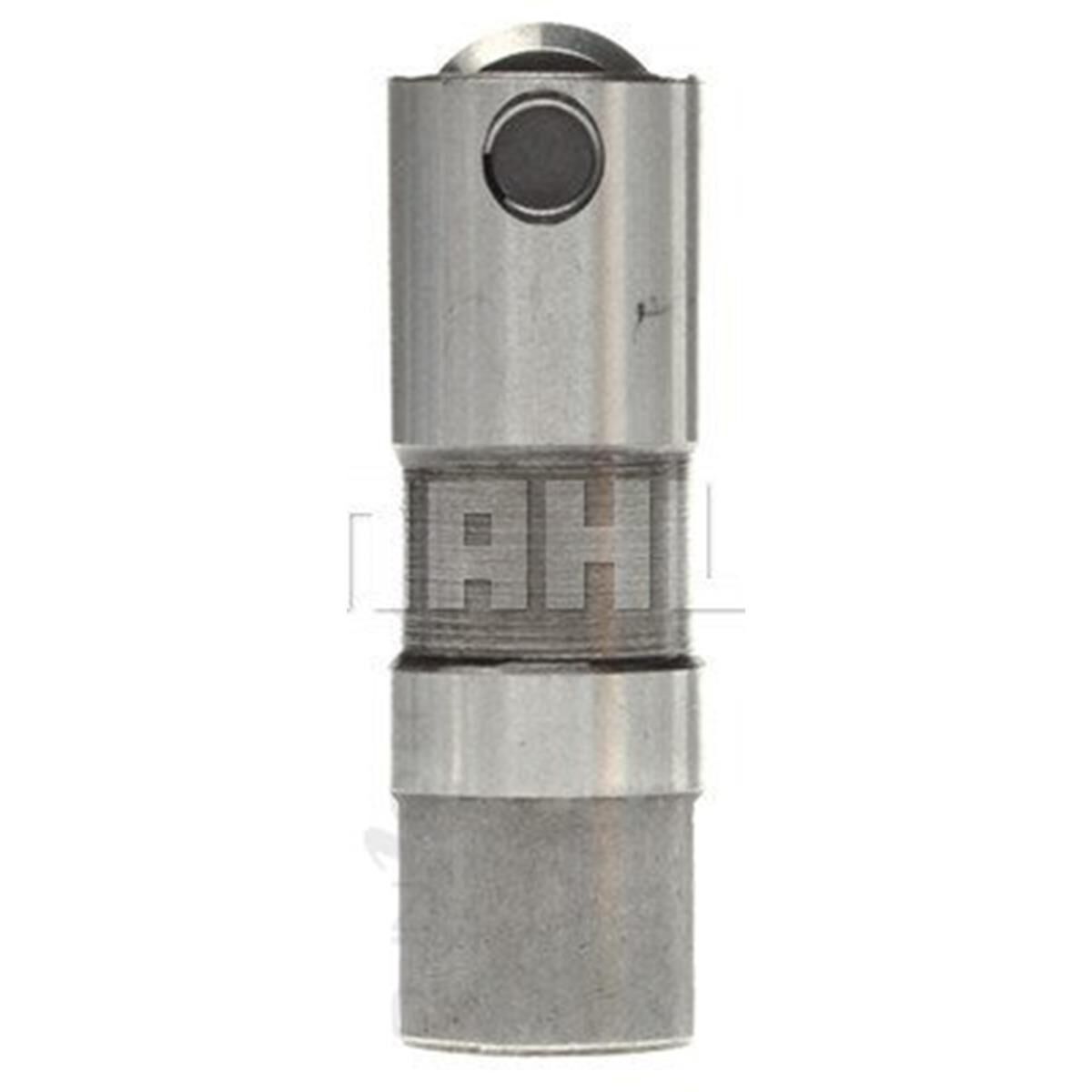 SUIT GMH 3.8L 5.7L HYD LIFTER, , scaau_hi-res