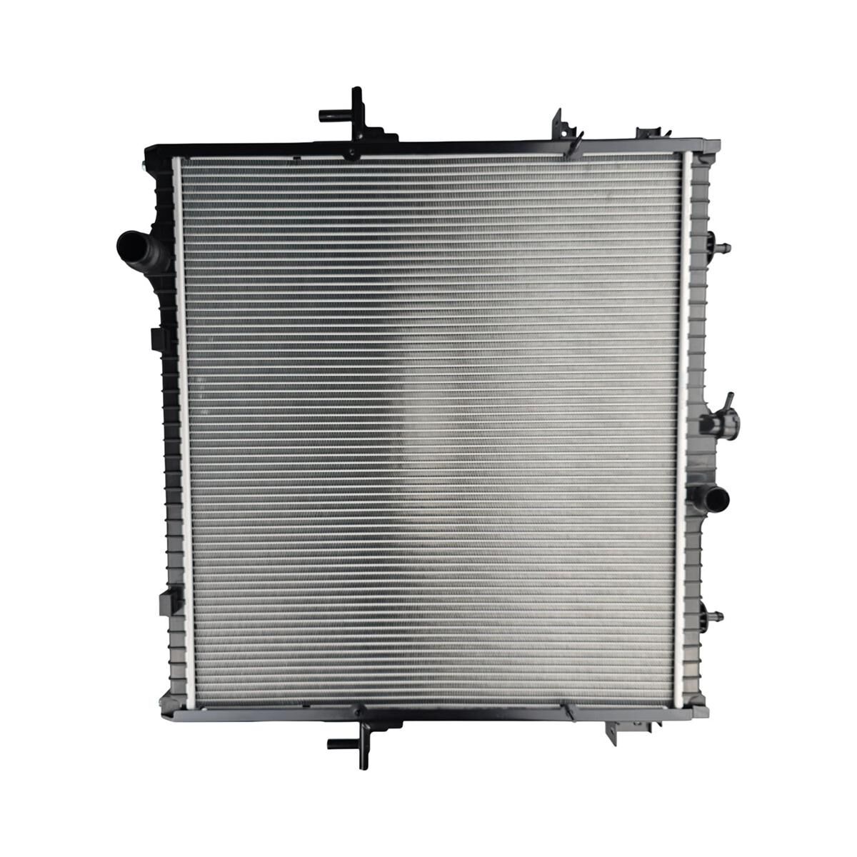 RADIATORS, , scaau_hi-res