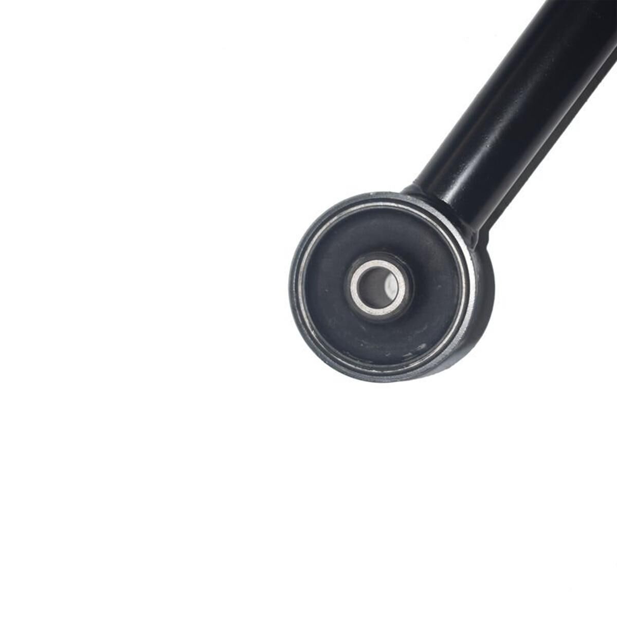 Control Arm - Rear, , scaau_hi-res