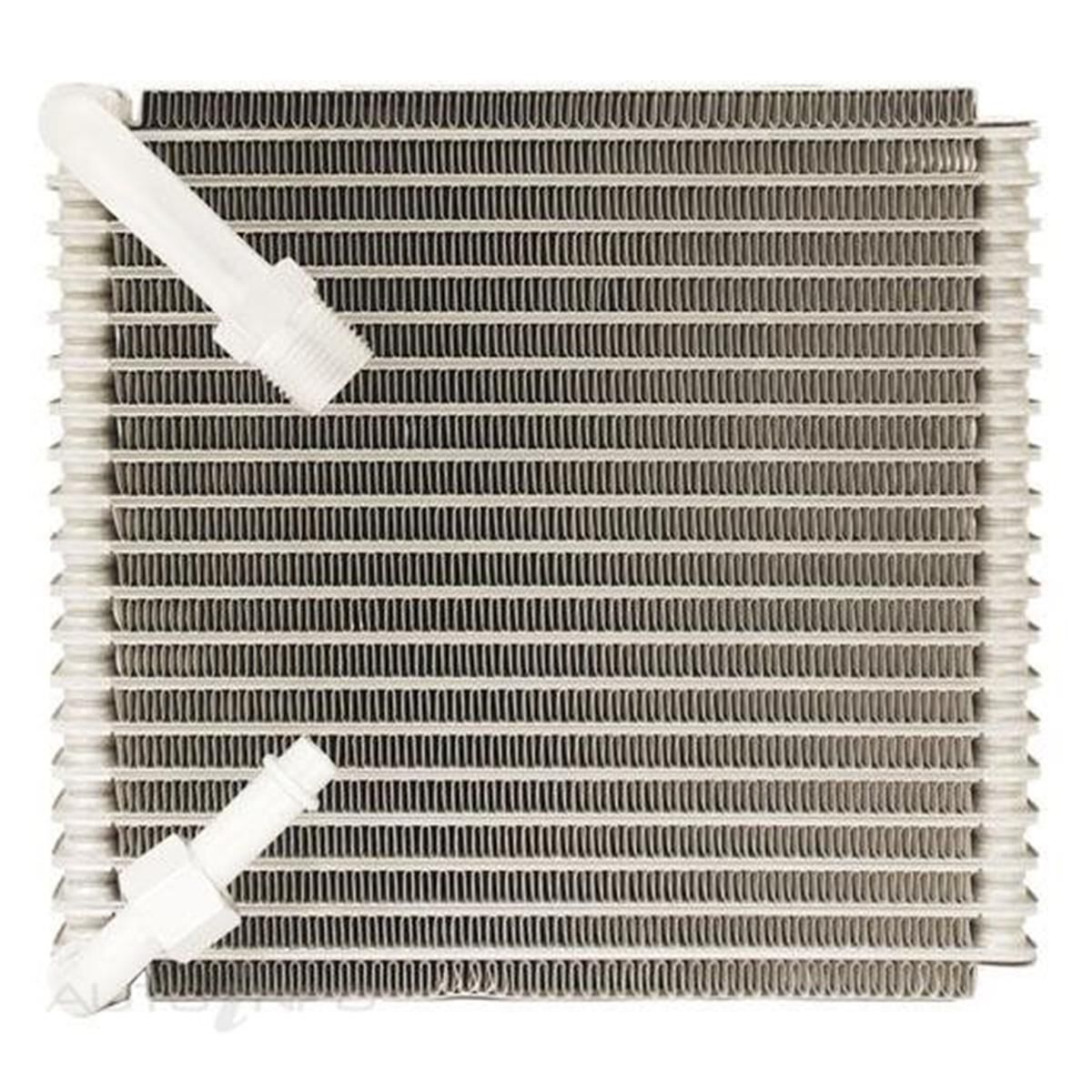 EVAP SUITS HOLDEN, , scaau_hi-res