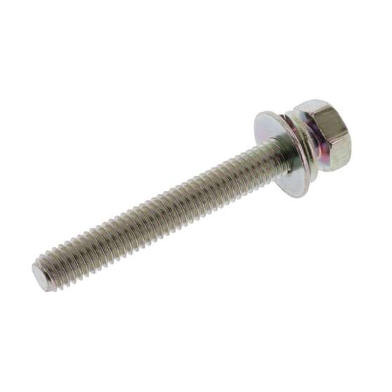PKT 100 M6 X 45 BOLT +S/F, , scaau_hi-res