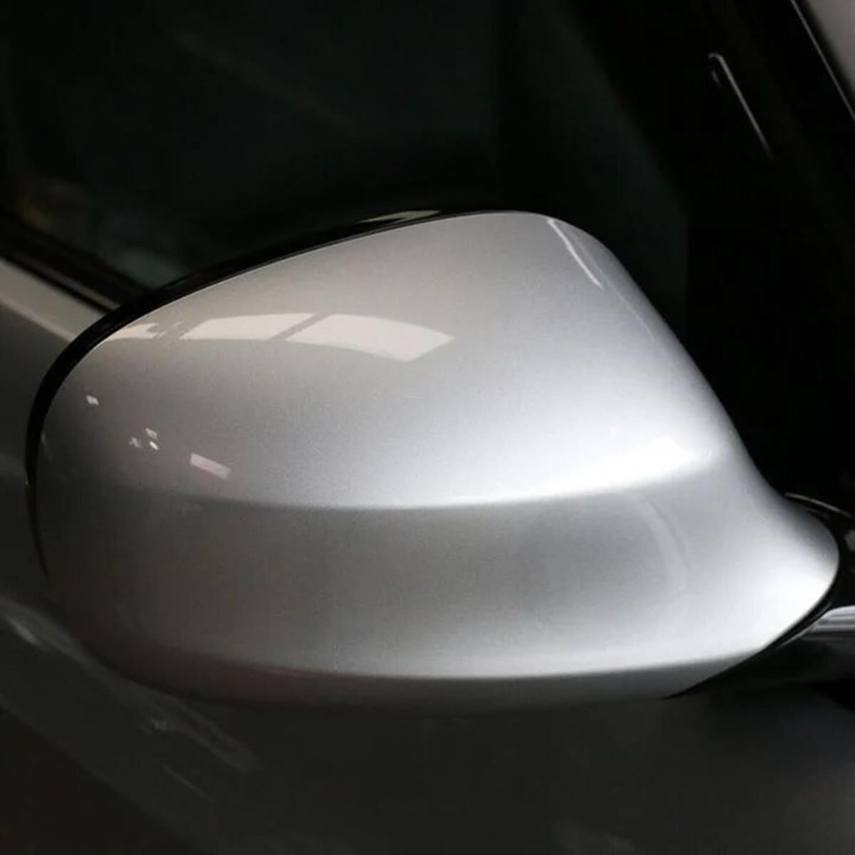 INSECT CLEANING SPONGE, , scaau_hi-res