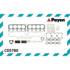 PAYEN VRS HOLDEN CHEVROLET 5.7L LS1 1MA, , scaau_hi-res