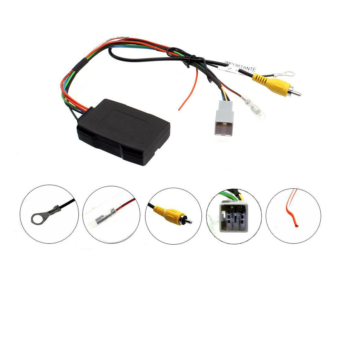 VIDEO RETENTION TO SUIT MITSU,, , scaau_hi-res