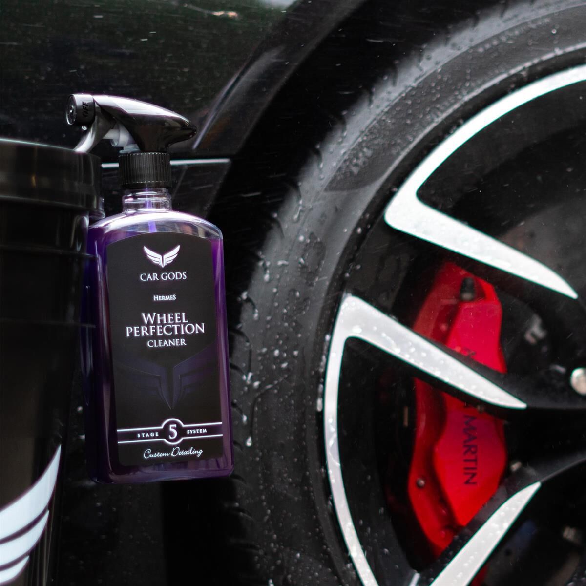 CAR GODS WHEEL PERFECTION CLEANER, , scaau_hi-res