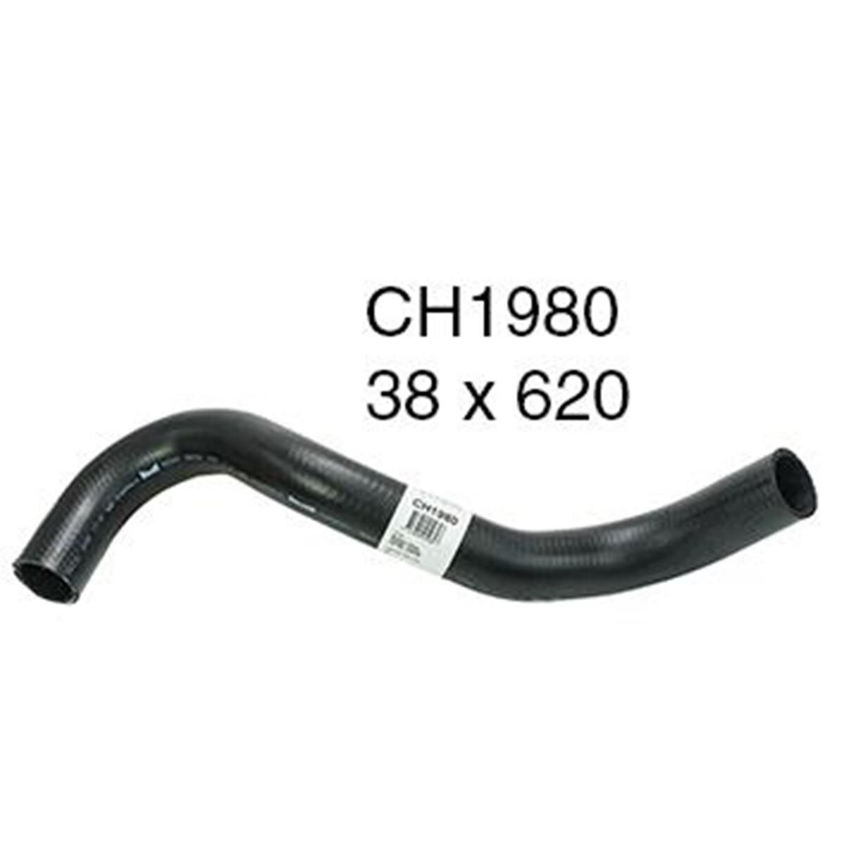 RADIATOR LOWER HOSE - HOLDEN COMMODORE VS - 3.8L V6 PETROL - MANUAL & AUTO, , scaau_hi-res