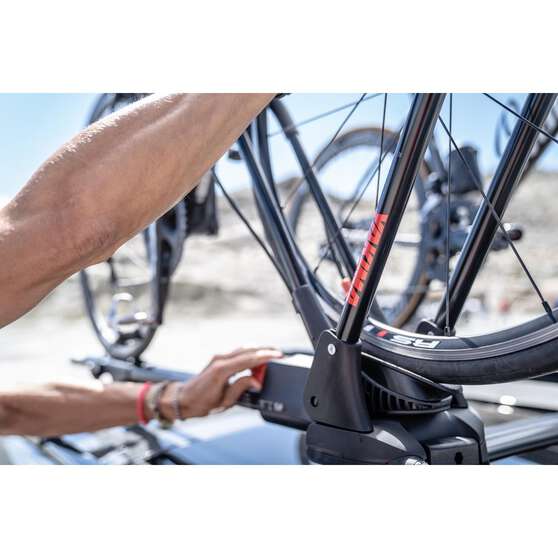 FRONTLOADER, , scaau_hi-res