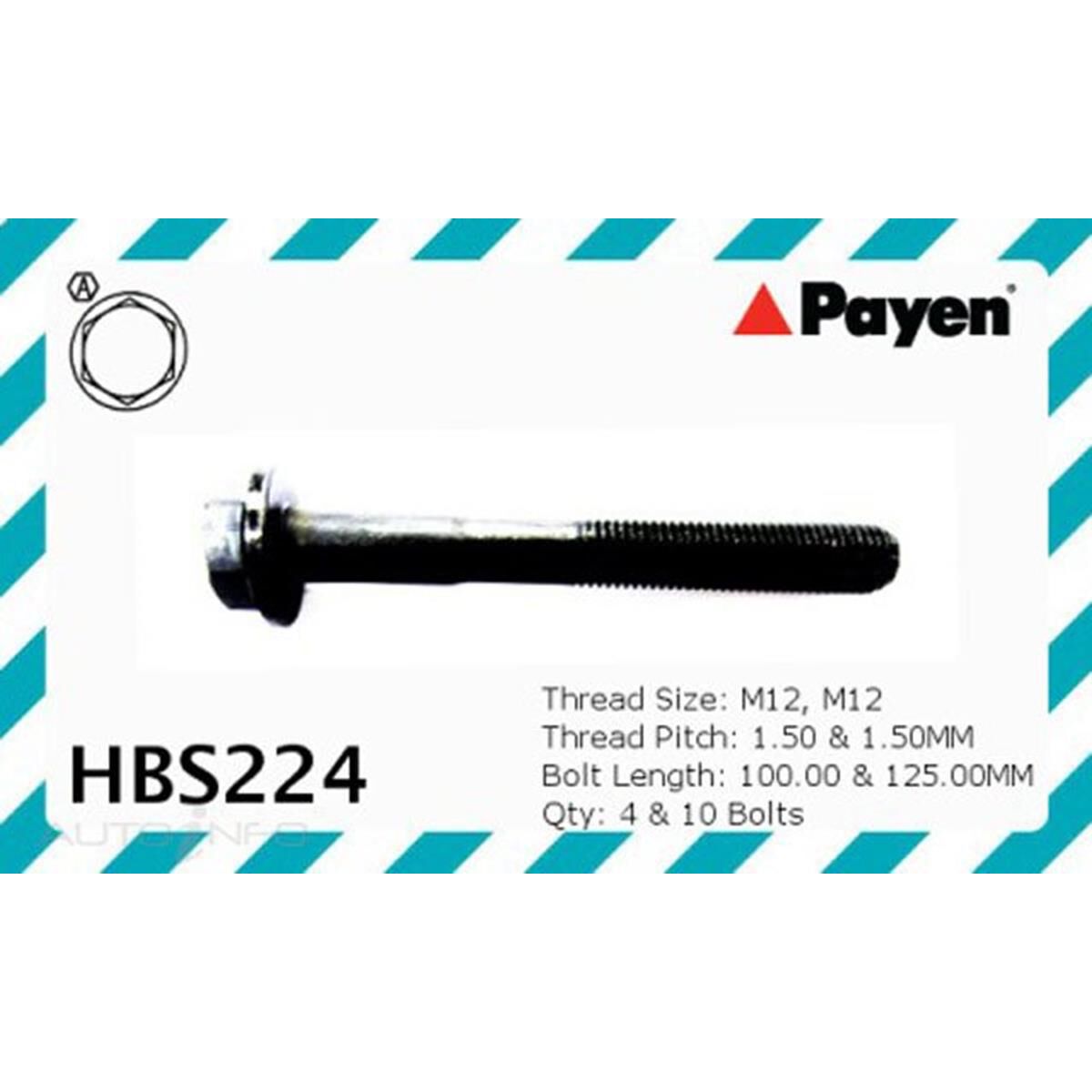 PAYEN HEAD BOLT LANDROVER 200 TDI, , scaau_hi-res