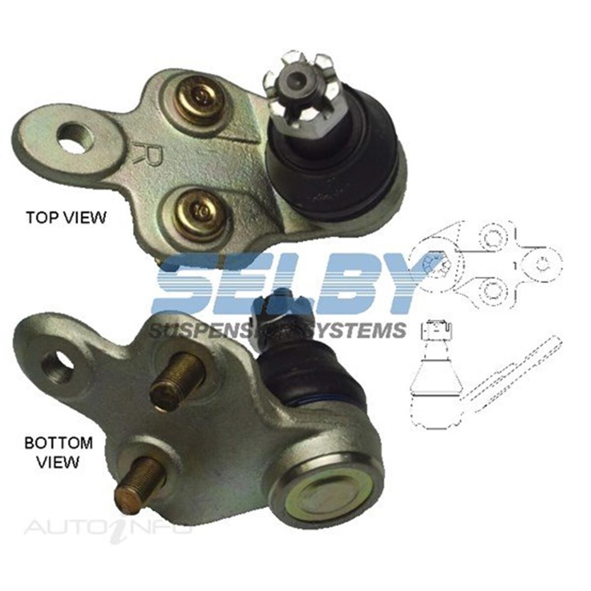 SELBY BJ (F) LWR RH LEXUS ES300 02-03, ES330 04-06, RX330 04-06, RX350 07-08, RX400H 06-07, , scaau_hi-res