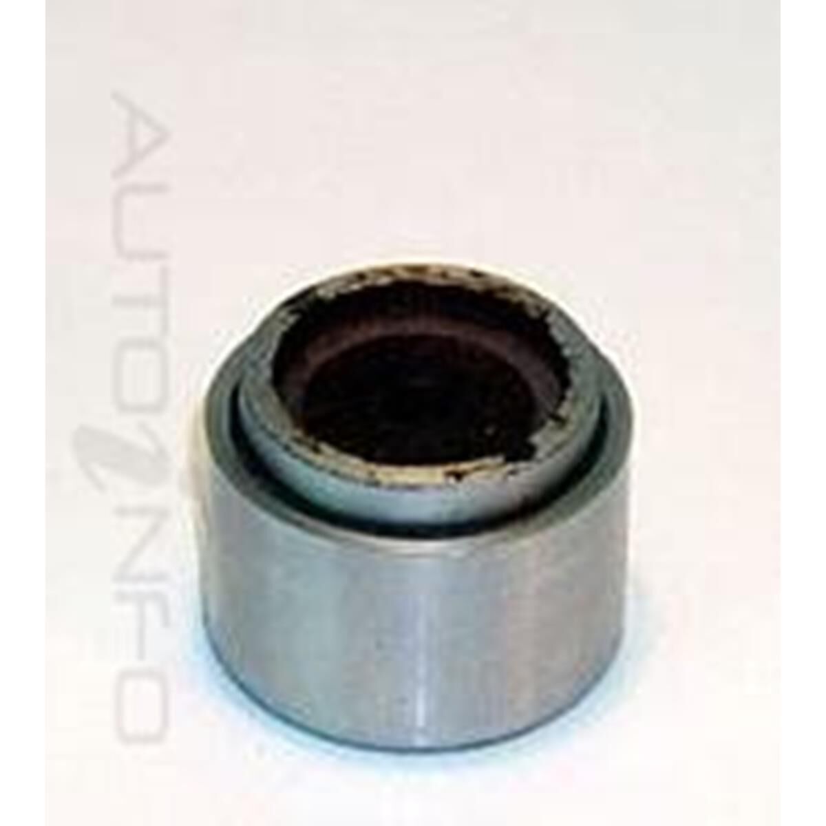 PISTON, , scaau_hi-res
