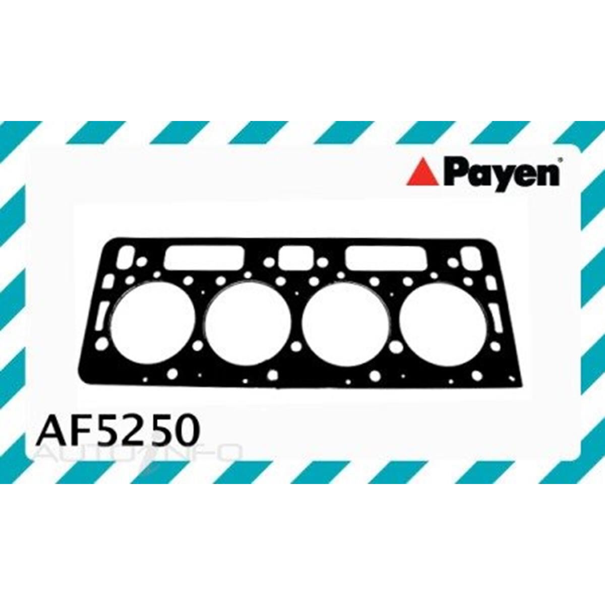 PAYEN HEAD GASKET, , scaau_hi-res