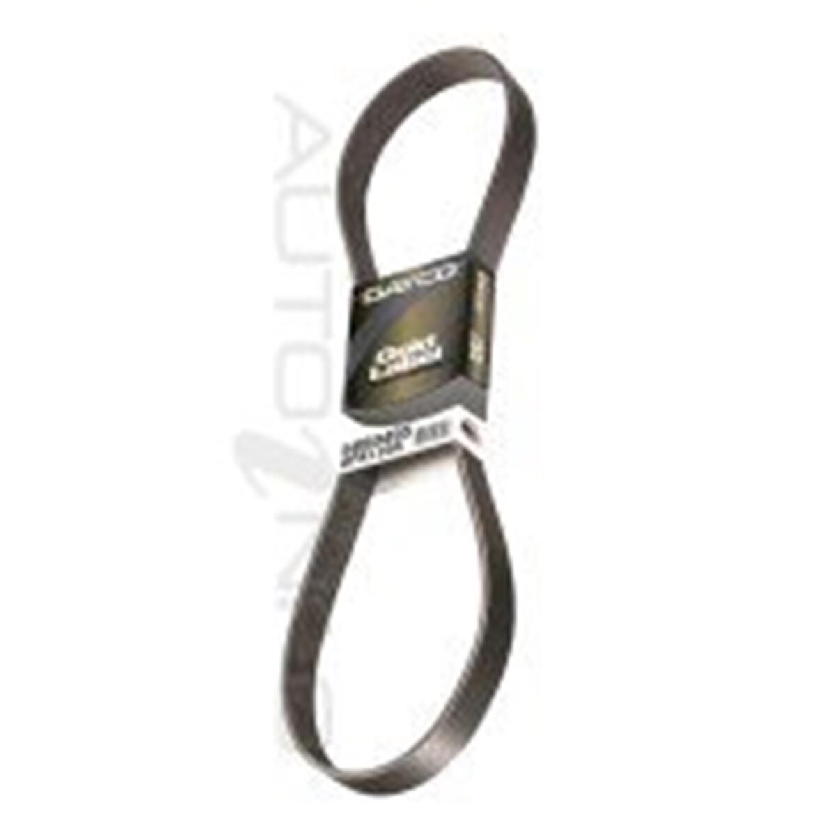 5090886 G/L POLY RIB BELT, , scaau_hi-res