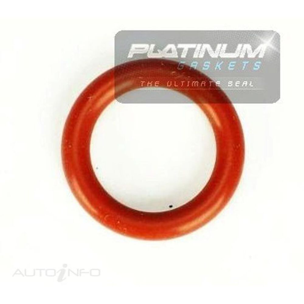 Platinum Water Pump O Ring GG1255 Supercheap Auto