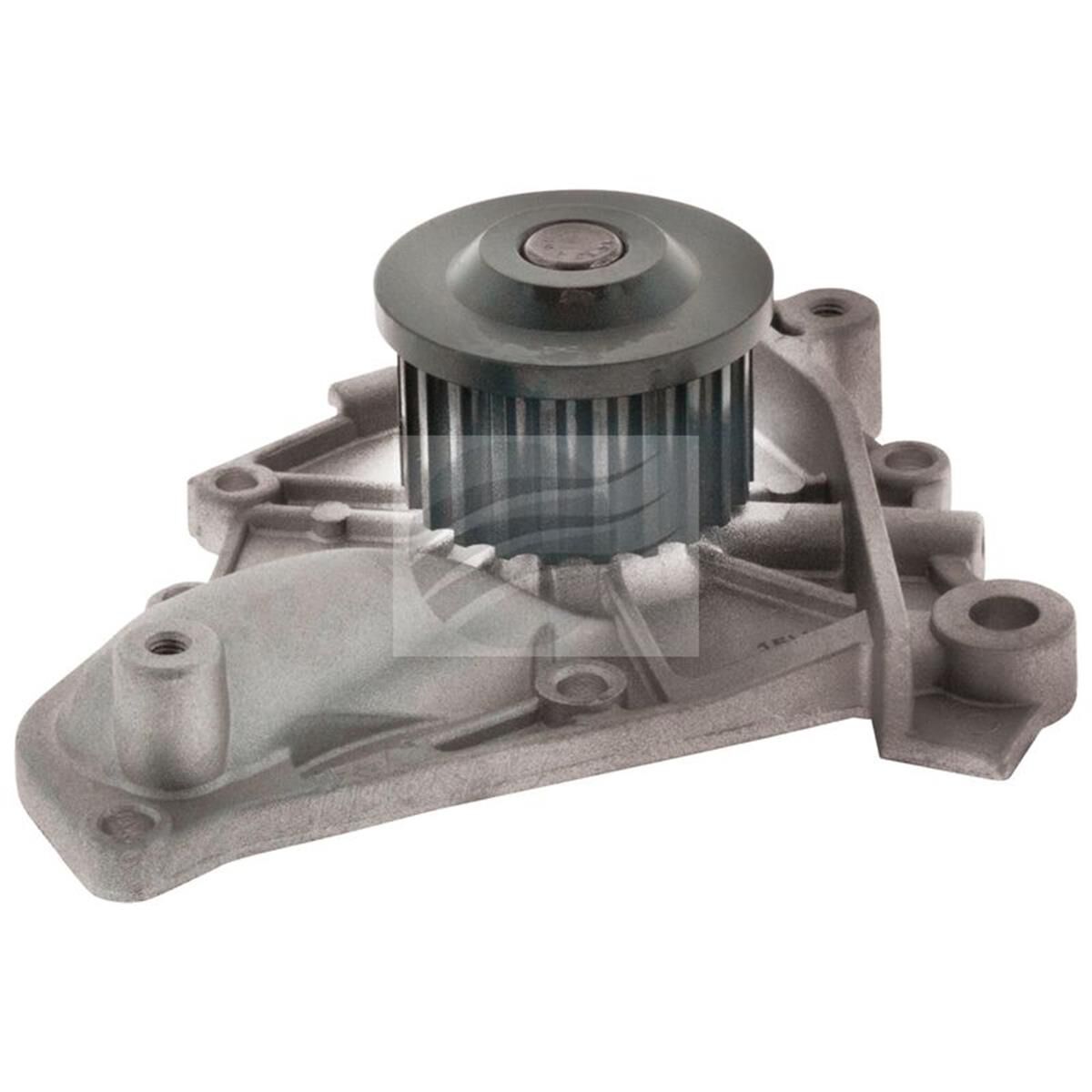 WATER PUMP HOLDEN TOYOTA, , scaau_hi-res