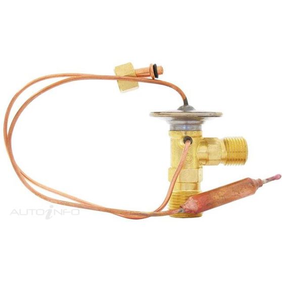 JAS A/C Thermal Expansion Valve Externally Equalised O Ring A228690