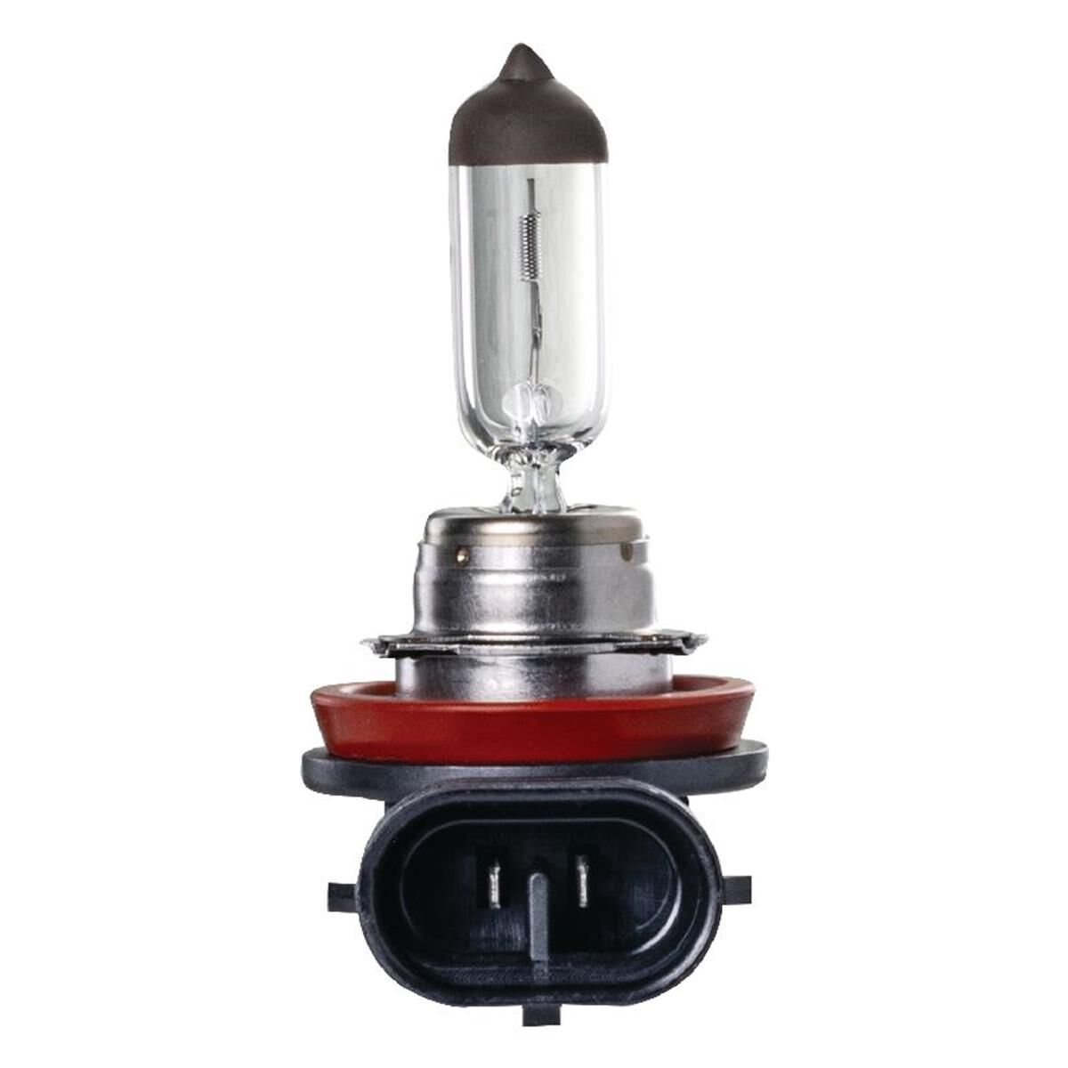 PKT1 H11 HALOGEN GLOBE 12V 55WPGJ19-2 BASE LONG LIFE BOX, , scaau_hi-res