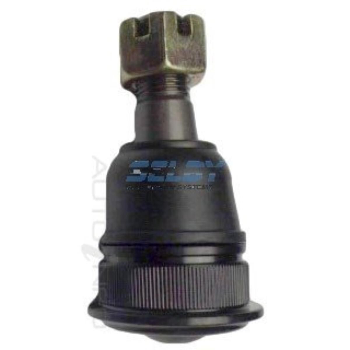 SELBY BJ (F) LWR NISSAN ELGRAND 03-10, , scaau_hi-res