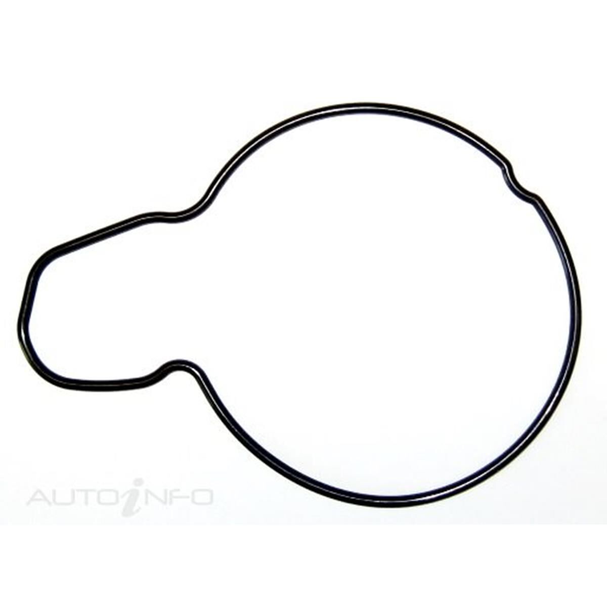 Protorque Water Pump Gasket - WPG3135 | Supercheap Auto