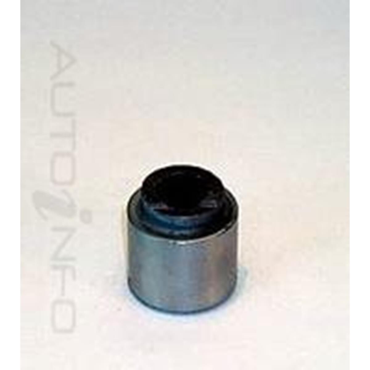 CAL PISTON, , scaau_hi-res