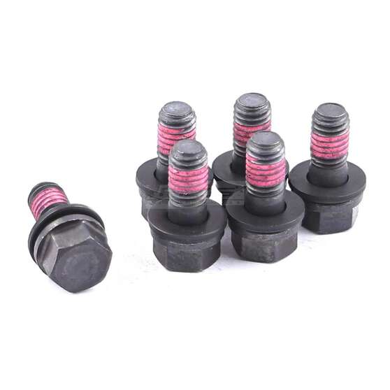 BOLT KIT P/P NISSAN 8 x 1.25 x 17.3 (6), , scaau_hi-res