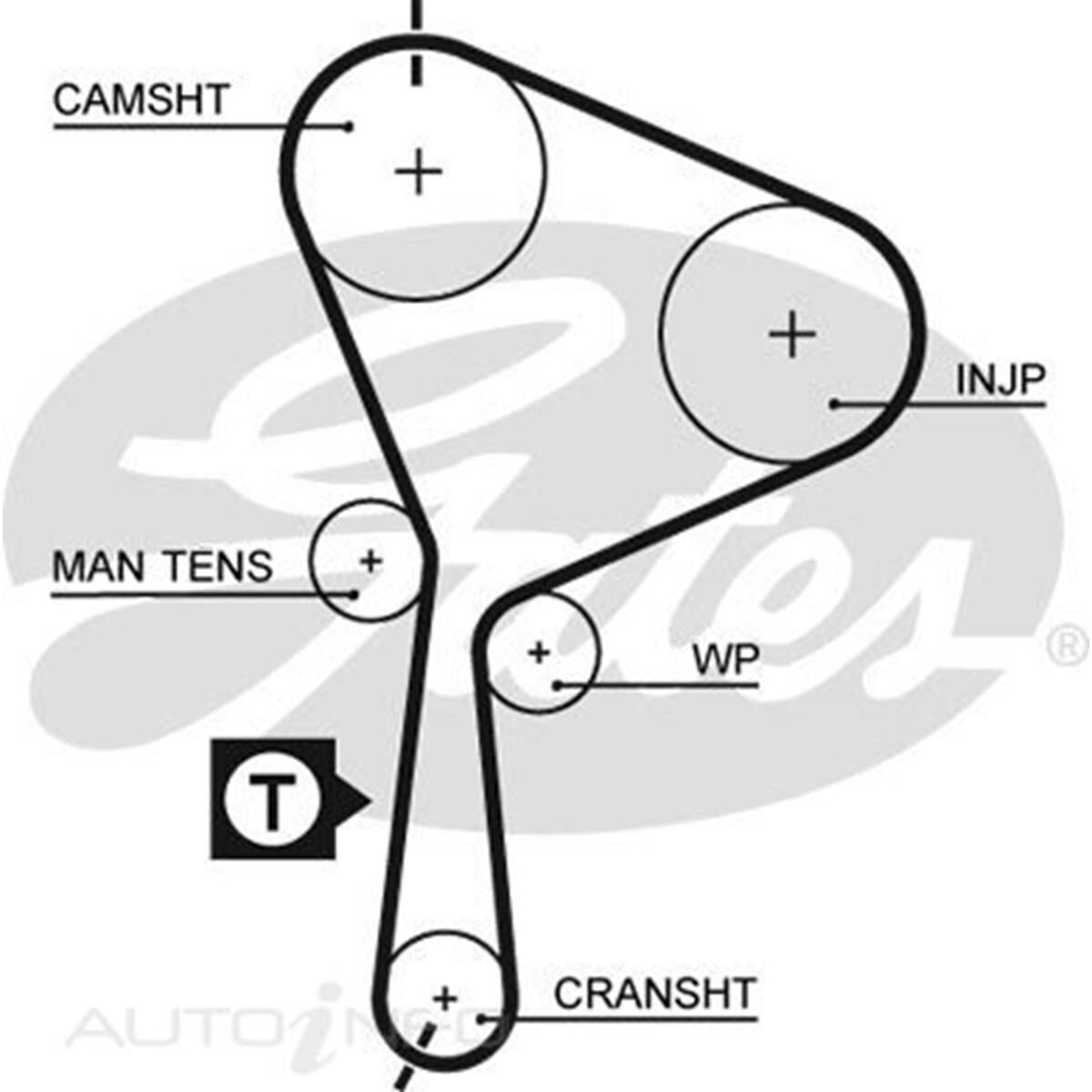 T1558 - 76132 X 26MM (5552XS), , scaau_hi-res